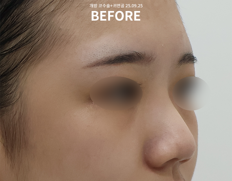 bc647c1b57629ee4c0bec5211461d7e9_1767084265_2597.png bc647c1b57629ee4c0bec5211461d7e9_1767084265_2597.png