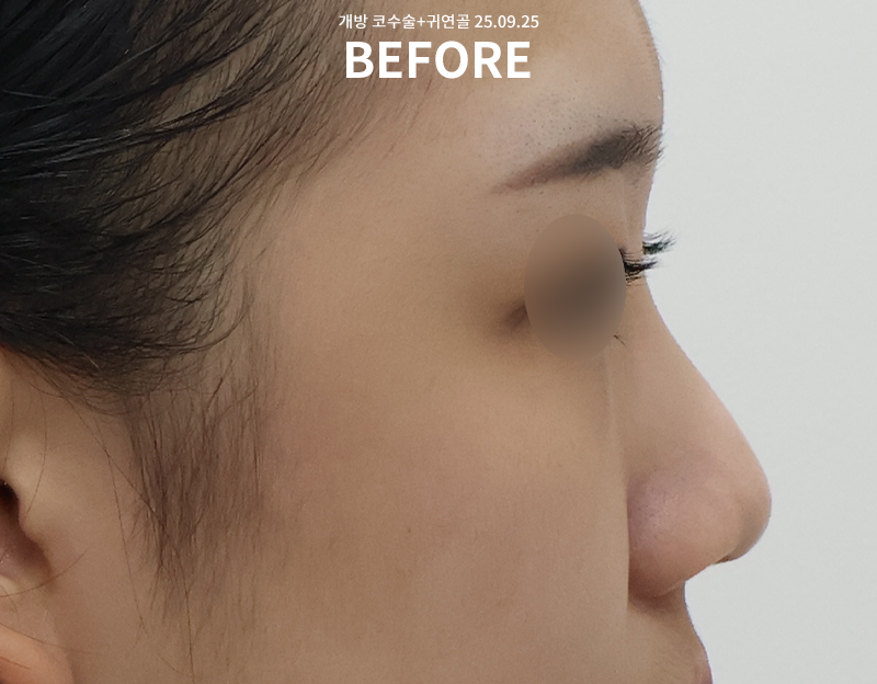 bc647c1b57629ee4c0bec5211461d7e9_1767084447_5474.png bc647c1b57629ee4c0bec5211461d7e9_1767084447_5474.png