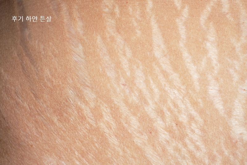 bc3b2bb2489e7ebde460f35d3f225d5a_1776044539_6973.jpg bc3b2bb2489e7ebde460f35d3f225d5a_1776044539_6973.jpg